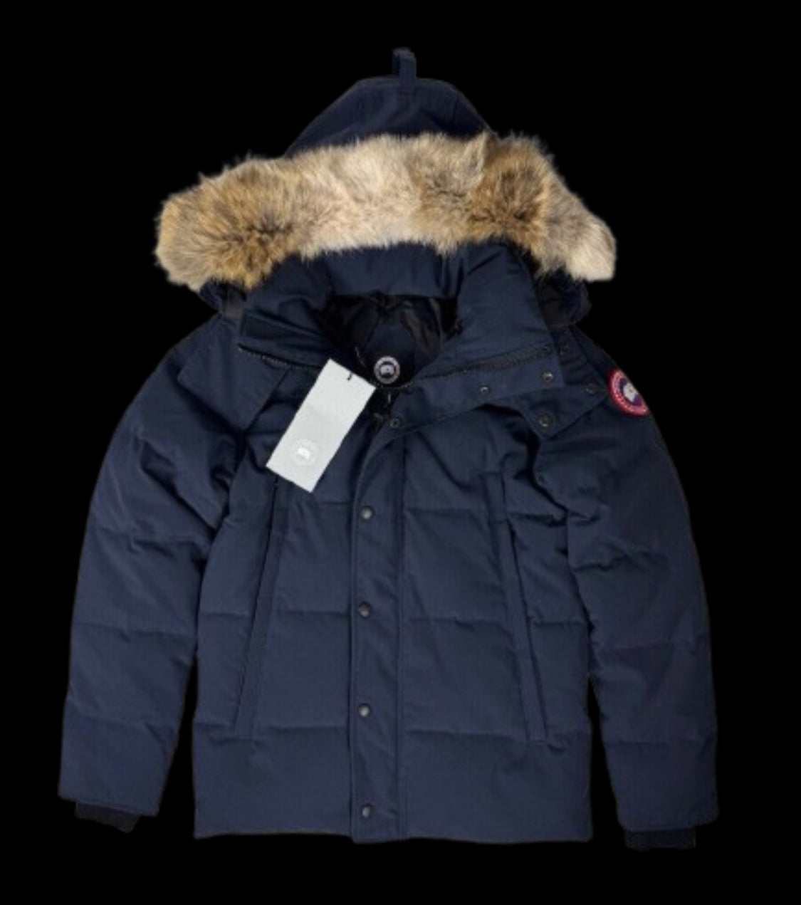 Canada Goose Men's Down Jacket