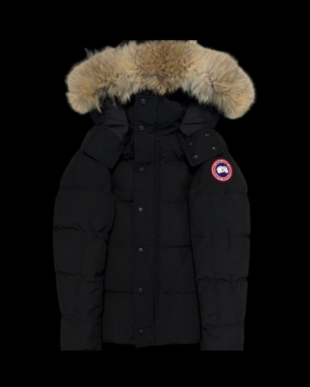 Canada Goose Women's Down Jacket