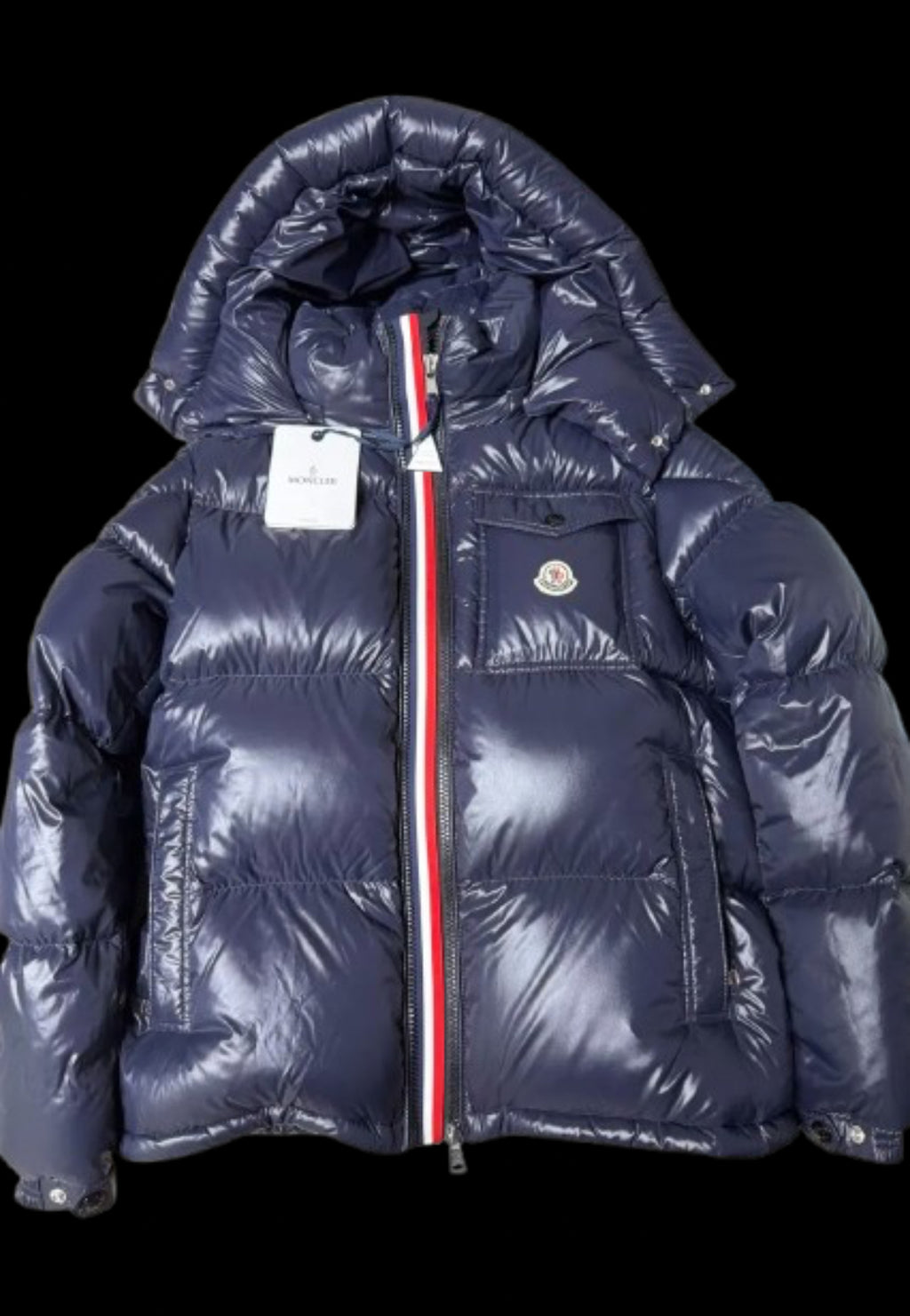 Moncler Montbeliard Down Jacket