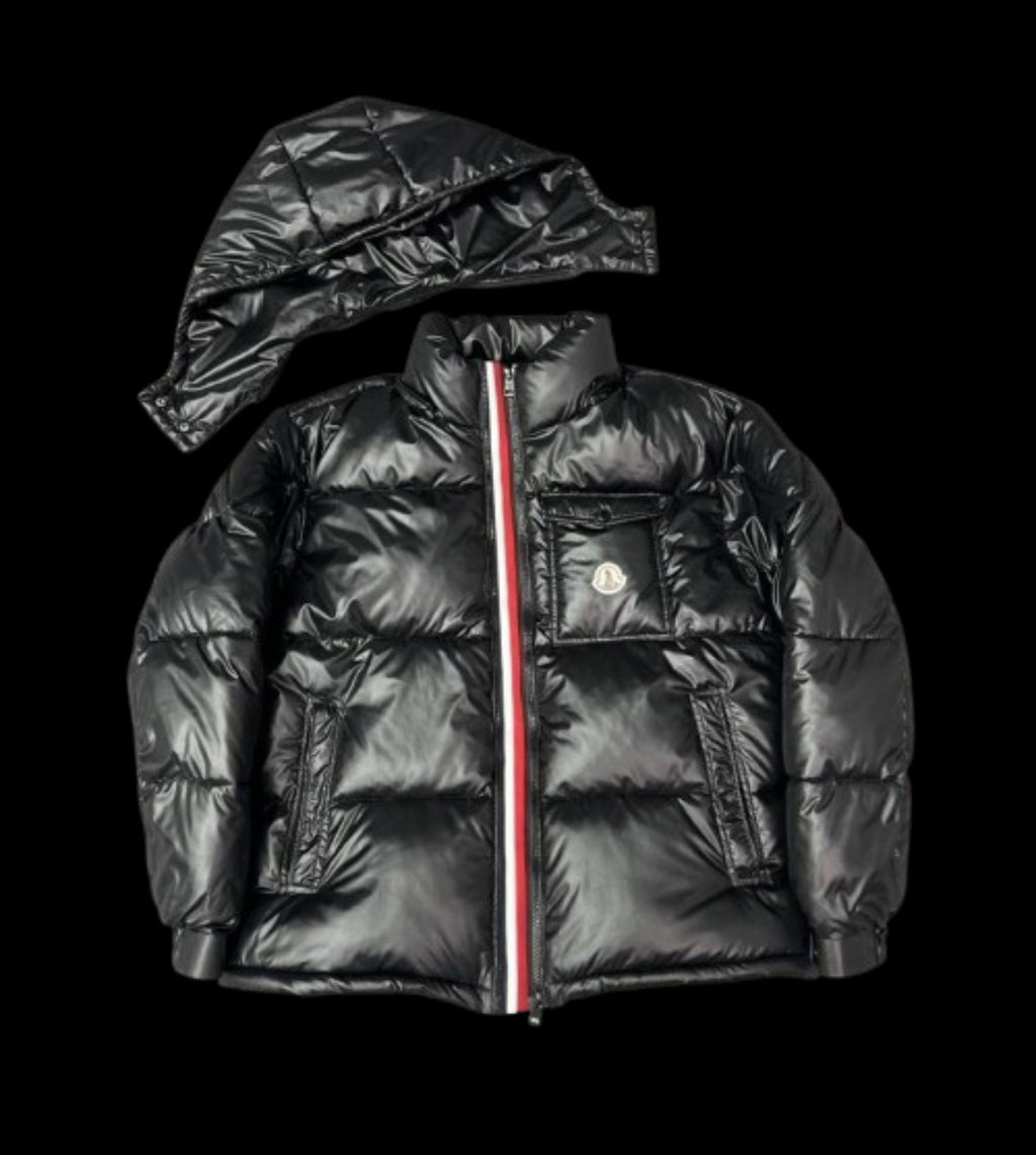 Moncler Montbeliard Down Jacket