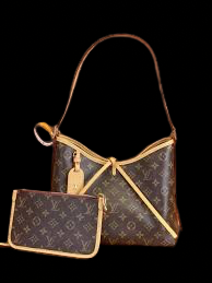 Carry All Leather Handbag Louis Vuitton Brown